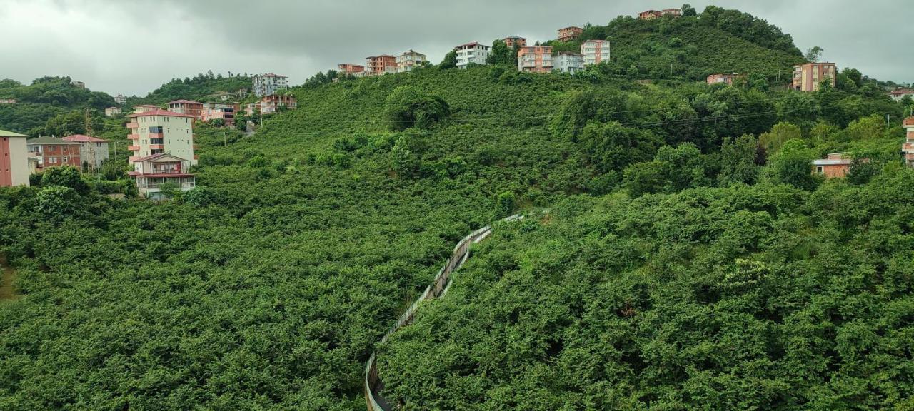 Metro Vip Apart otel Trabzon Dış mekan fotoğraf